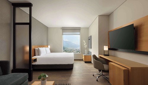 Habitación, 1 cama de matrimonio grande con sofá cama