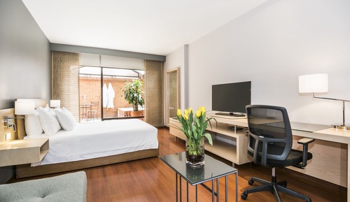 Habitación ejecutiva, 1 cama de matrimonio, terraza