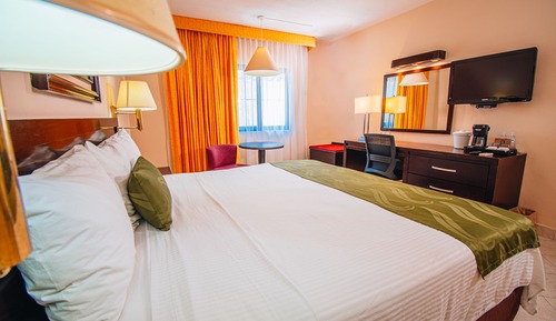 Habitación estándar, 1 cama de matrimonio grande