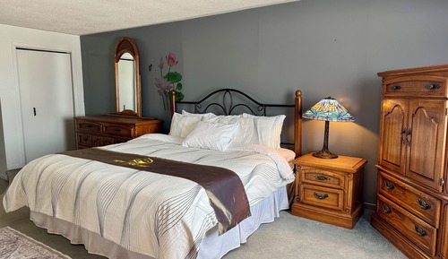 Habitación ejecutiva, 1 cama de matrimonio grande