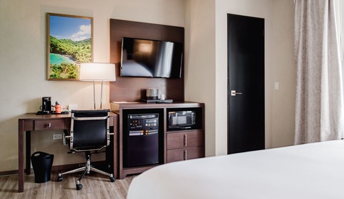 Habitación estándar, 1 cama de matrimonio grande, no fumadores
