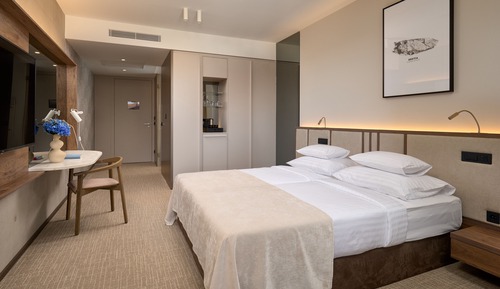 Accessible Superior Double or Twin room, Balcony