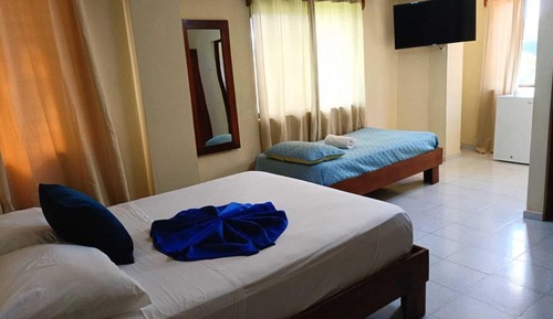 Habitación D y T