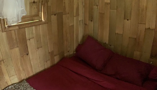 Casa en un árbol estándar
