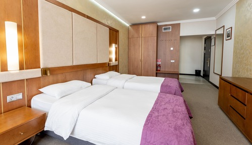Habitación estándar con 2 camas individuales