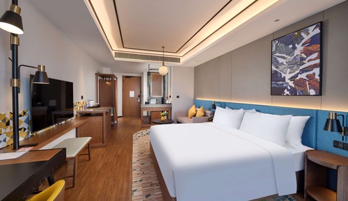 Habitación básica, 1 cama de matrimonio grande