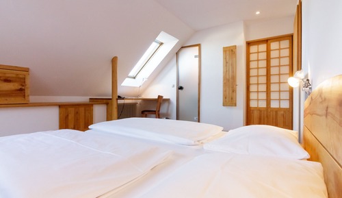 Habitación básica doble (Xaver)