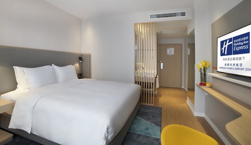 Habitación estándar, 1 cama de matrimonio grande (Extra Space Minifridge)