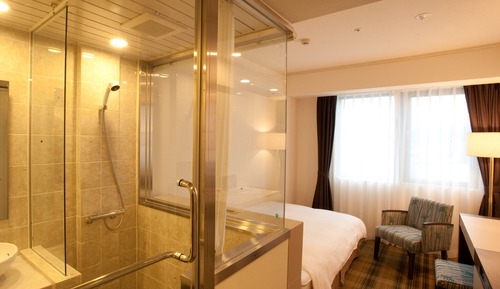 Habitación estándar doble, no fumadores (Semi Double)