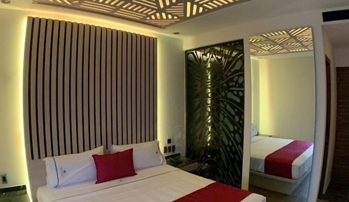 Habitación individual Confort