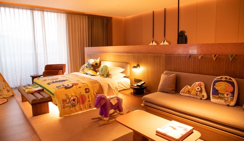 Habitación Premier, 1 cama de matrimonio grande