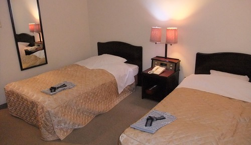 Habitación Confort con 2 camas individuales, no fumadores