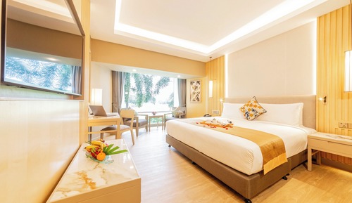 Habitación Club, 1 cama de matrimonio grande