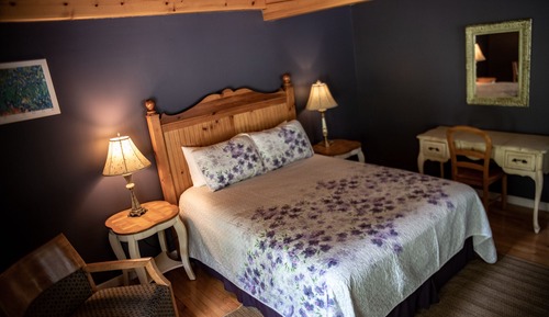 Habitación individual Premier