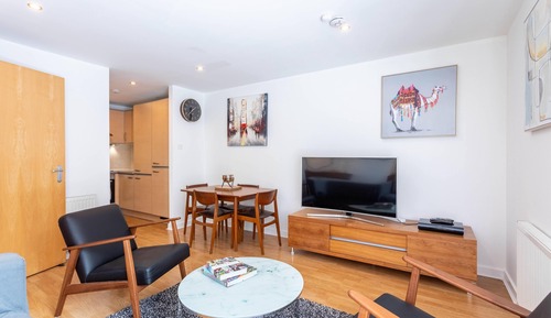Apartamento, accesible para personas con discapacidad, baño privado (BroomPark)