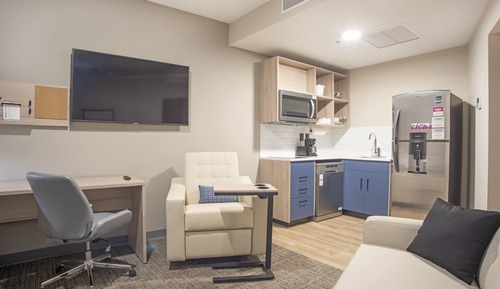 Suite, 1 habitación, con vistas (Mall View)