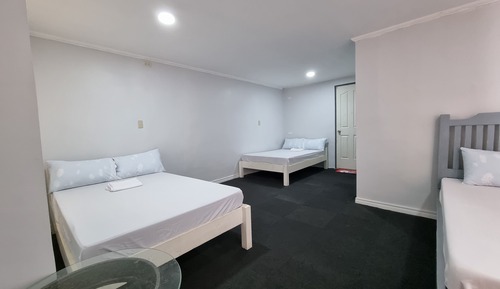 Suite Premium