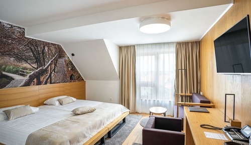 Habitación Confort con 1 cama doble o 2 individuales