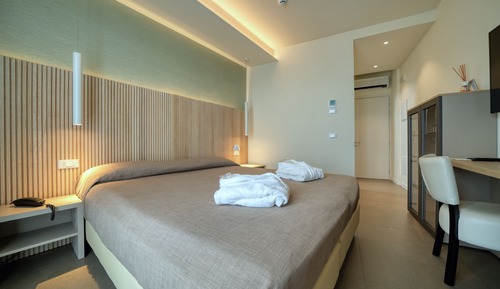 Habitación panorámica con 1 cama doble o 2 individuales (Private Rooftop Pool)