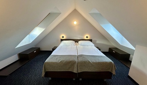 Suite, varias camas (Plus)
