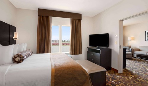 Suite, 1 cama de matrimonio grande, no fumadores (One-Bedroom)