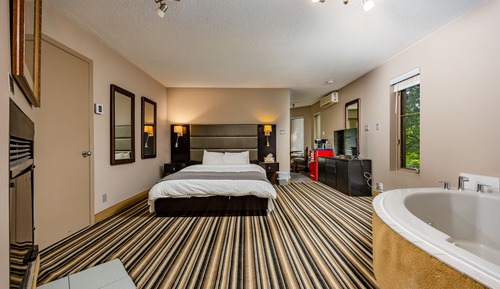Suite Elite