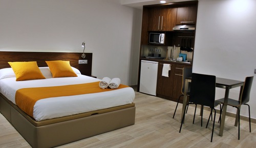 Basic Studio, 1 Queen Bed with Sofa bed