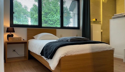 Habitación individual clásica, 1 cama individual