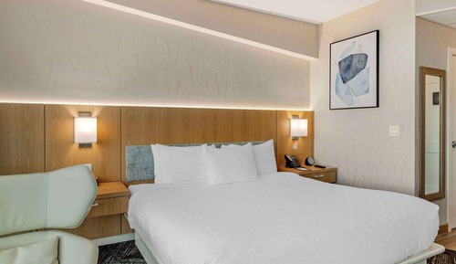 Habitación estándar, 1 cama de matrimonio grande, no fumadores, vistas a la ciudad