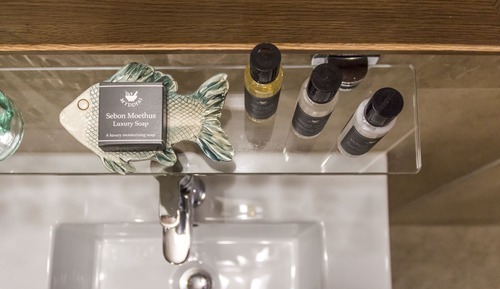 Suite superior, baño privado (Coach House)