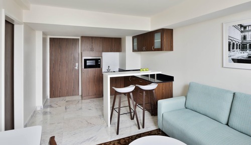 Suite ejecutiva, 1 habitación, no fumadores