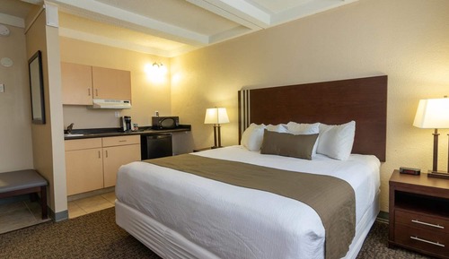 Suite Estudio Business