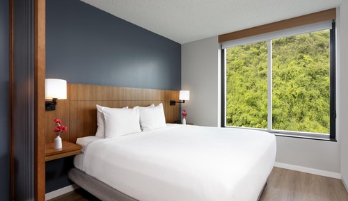 Habitación estándar, 1 cama de matrimonio grande