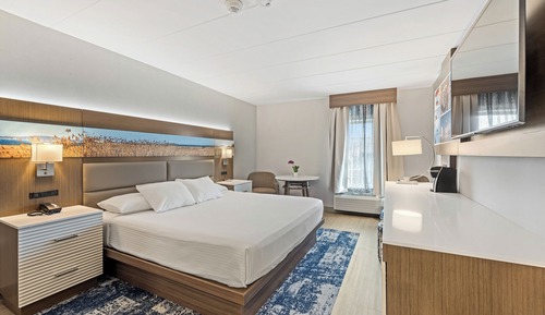 Habitación ejecutiva, 1 cama de matrimonio grande