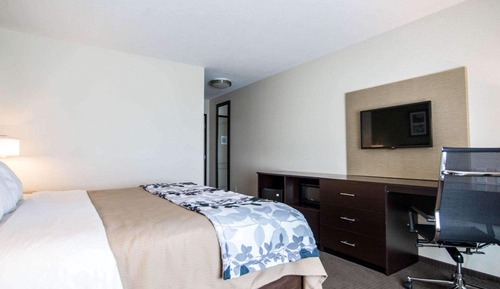 Habitación estándar, 1 cama de matrimonio grande, no fumadores