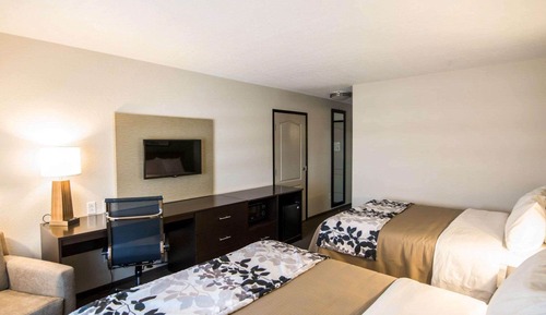 Habitación estándar, 2 camas de matrimonio, no fumadores