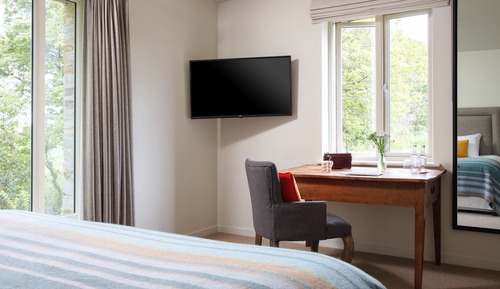 Habitación estándar doble, 1 cama de matrimonio grande