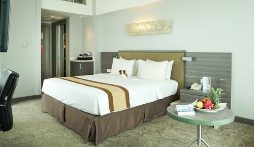 Habitación Deluxe