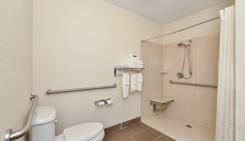 Suite estudio, 1 cama de matrimonio grande, ducha adaptada (Communications)