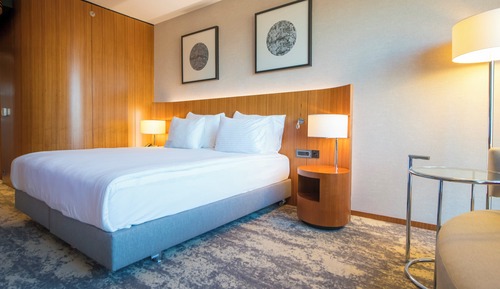 Habitación estándar, 1 cama de matrimonio grande, accesible para personas con discapacidad