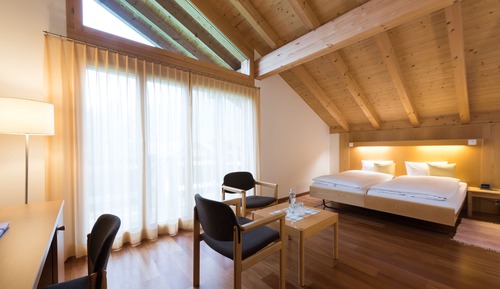 Habitación doble, vistas a la montaña (Chalet )