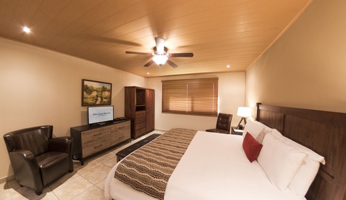 Suite estudio Premium