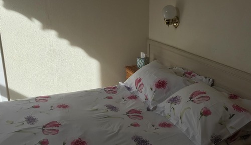 Habitación doble, baño privado