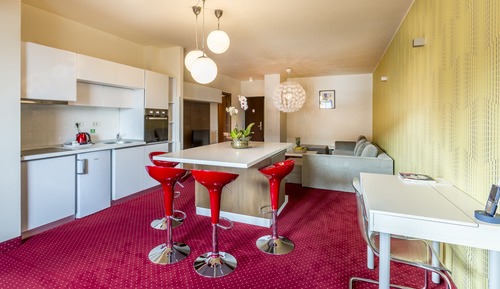 Business Apartment without Spa