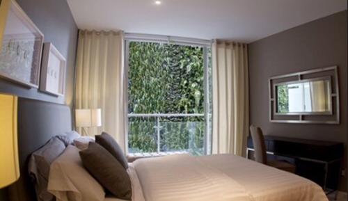 Loft Suite