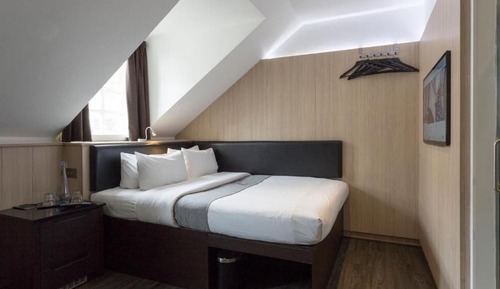 Queen Accessible Room