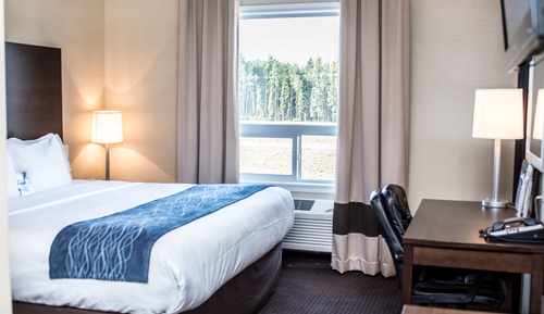 Suite, 1 cama de matrimonio grande con sofá cama, no fumadores