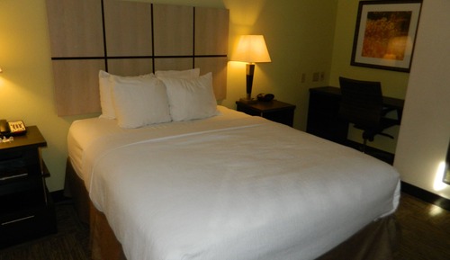 Suite estudio, 1 cama de matrimonio (Mobility, Roll-In Shower)