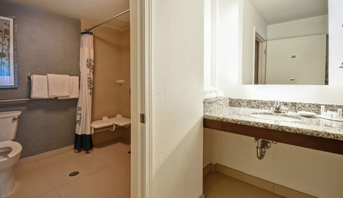 Estudio, 1 cama de matrimonio grande con sofá cama (Mobility Accessible, Roll-in Shower)