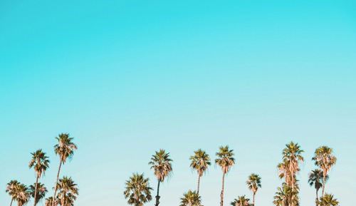 [Late Summer Escape PKG] Suite(No Kitchen/Ocean) - Breakfast OR Ocean Adventure for 3 people